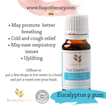 Eucalyptus Peppermint Gum